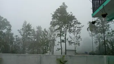 a view of a forest of trees in the fog at Wayanad Snow Vibes in Vythiri