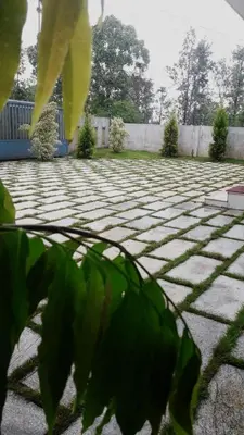 a stone courtyard with a fence and a plant at Wayanad Snow Vibes in Vythiri