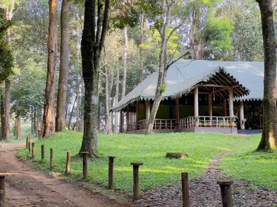 a building with a tent in the middle of a forest at 900 Woods Wayanad Eco Resort - A Sprawling Jungle Stay near Glass Bridge in Meppādi