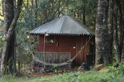 a small hut with a roof in the woods at 900 Woods Wayanad Eco Resort - A Sprawling Jungle Stay near Glass Bridge in Meppādi