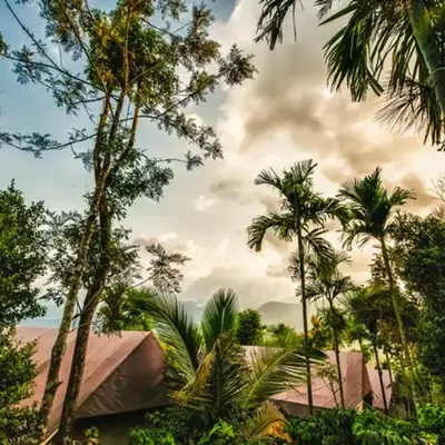 Grassroots Wayanad