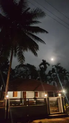 a house with a palm tree in front of it at LAZY DAYS Wayanad in Cherambādi
