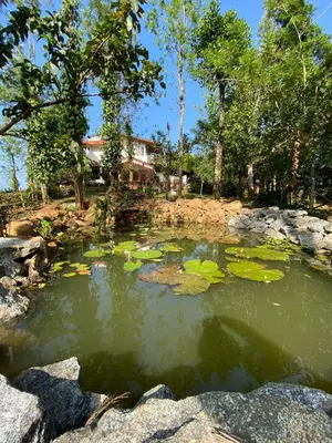 a pond filled with lily pads in a yard at LAZY DAYS Wayanad in Cherambādi