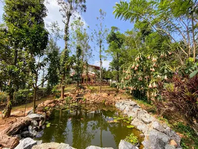 a pond in front of a house with trees at LAZY DAYS Wayanad in Cherambādi