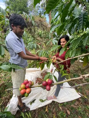 a man and a woman standing next to a bunch of fruit at LAZY DAYS Wayanad in Cherambādi