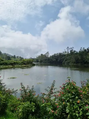 a view of a river with trees in the background at Camellia Heights 1&2 in Coonoor