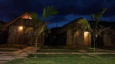 a house at night with palm trees in front at Ibni Springs in Madikeri