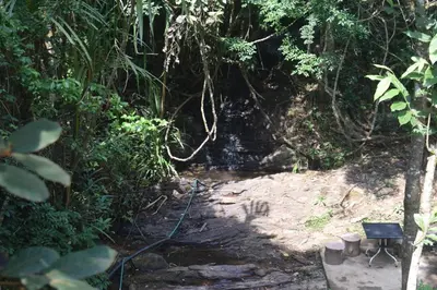 a dirt trail in the middle of a forest at Ibni Springs in Madikeri