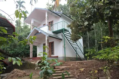 a house in the middle of a forest at Wayal Wayanad Farm Resort in Panamaram
