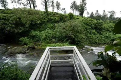 a bridge over a river in a forest at IRON BRIDGE COVE in Meppādi