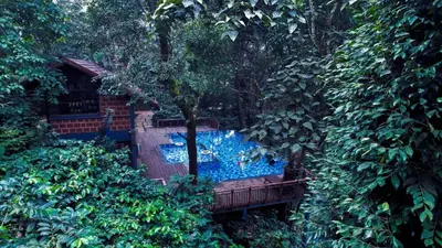 a swimming pool in the middle of a forest at Vythiri Mist Resort in Vythiri