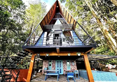 a tree house with a balcony and blue chairs at Wild root stay- Orchid Chalet in Vythiri