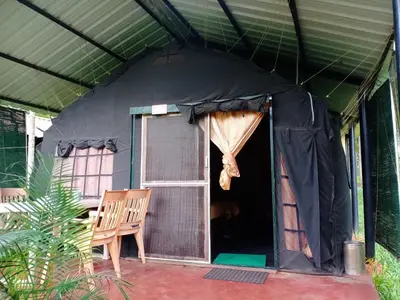 a black tent with a chair and a window at KABINI FARM STAY in Antarasante
