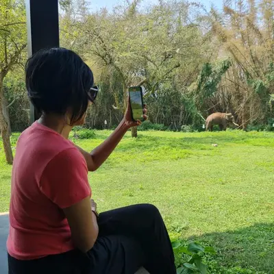 a woman taking a picture of an animal with her cell phone at Runnel View in Masinagudi