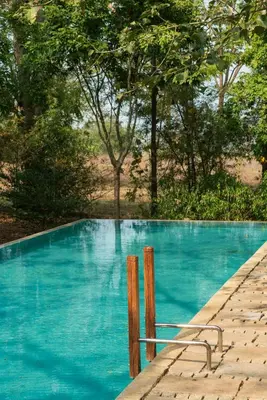 a swimming pool with blue water and trees in the background at Kaav Safari Lodge, Kabini in Begūr