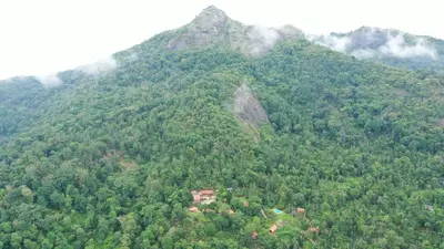 an aerial view of a mountain with trees at Avadale Wayanad - Stag Groups Not Allowed in Kalpetta