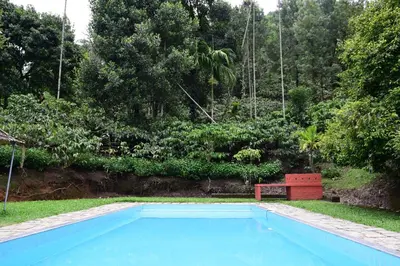 a blue swimming pool with a bench and trees at Avadale Wayanad - Stag Groups Not Allowed in Kalpetta