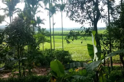 a view of a green field from a forest at Wayal Wayanad Honey moon villa in Panamaram
