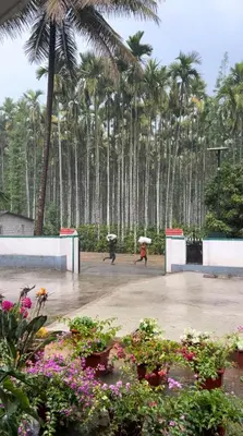 two people with umbrellas walking in a park with palm trees at Green Castle in Gonikoppal