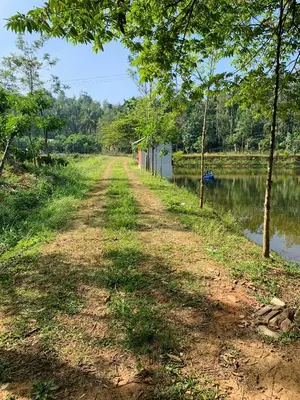 a dirt road next to a body of water at Green Castle in Gonikoppal