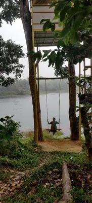 a person sitting on a swing next to a lake at 7 Heaven Resorts in Ambalavayal