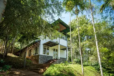 a house in the middle of a forest at The Woods Resorts Wayanad in Sultan Bathery