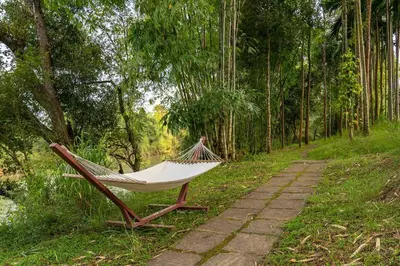 a hammock sitting next to a path in a forest at 5BR Firefly By The River with Breakfast - Nature's Lap in Kushālnagar