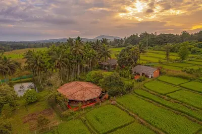 an aerial view of a house in a rice field at 5BR Firefly By The River with Breakfast - Nature's Lap in Kushālnagar