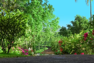 a road with trees and flowers in a park at Parisons Plantation Experiences by Abad in Mananthavady