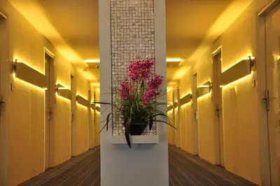 a potted plant on a wall in a hallway at The Arcadia Coimbatore Airport in Coimbatore