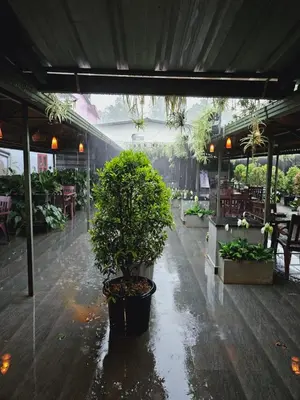 a greenhouse with a potted plant in the rain at Hotel Mayo in Wayanad