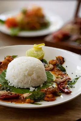 a white plate with rice and a piece of food at Au Revoir Wellness Resort, Malampuzha in Palakkad