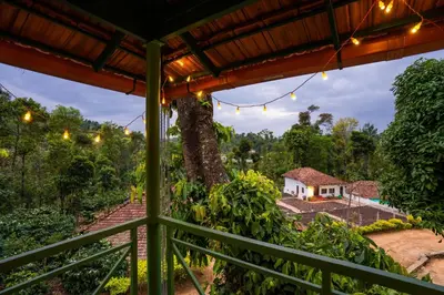 a view from the porch of a house with a tree at Zostel Coorg, Madikeri in Madikeri