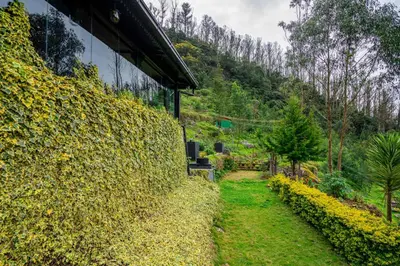a garden with a large hedge next to a building at The Berg Ooty Queen of Hills in Ooty