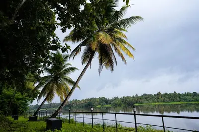 two palm trees next to a body of water at S RIVER RESORTS in Cochin