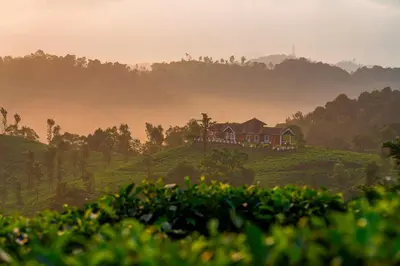 a house on a hill in the middle of a field at Zostel Homes Wayanad, Vythiri in Wayanad