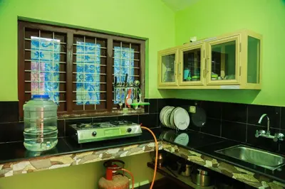 a kitchen with green walls and a counter with a sink at Puzhayoram home stay, Palakkuli, Mananthavadi wayanad kerala in Mananthavady