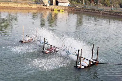 two boats in a body of water at NARAYANALAYAM-Vintage Retreat-Homestay & Rest'Inn in Kannur