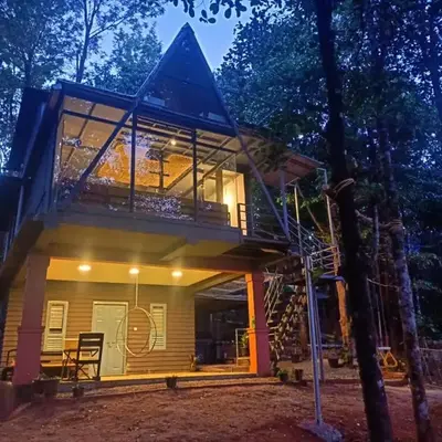 Wild root stay- Aster Chalet