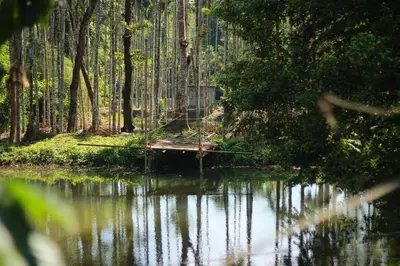 a bridge over a body of water in a forest at Entire Villa at the Heart of the Wayanad Forest. in Kutta