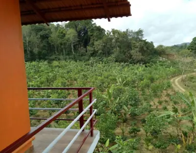 a balcony view of a field of crops at Lake View Homestay by StayApart in Madikeri