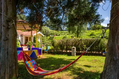 a colorful hammock hanging from a tree in a yard at goSTOPS Ooty in Ooty