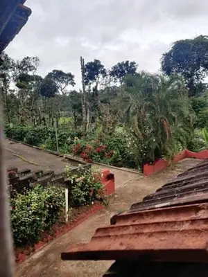 a view of a dirt road with trees and plants at Sardar Bahadur's Heritage Bungalow Estate Stay in Napoklu