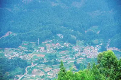 a town on a hill in a valley with trees at Misty Mountains Holiday Homes in Vattavada