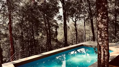 a swimming pool in the middle of a forest at Skyfall 900kandi in Meppādi