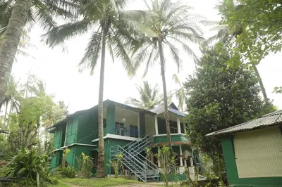 a green house with palm trees in front of it at JUNGLE PARADISE FARM & GUEST HOUSE in Masinagudi