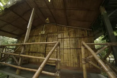 a large bamboo building with a roof at JUNGLE PARADISE FARM & GUEST HOUSE in Masinagudi