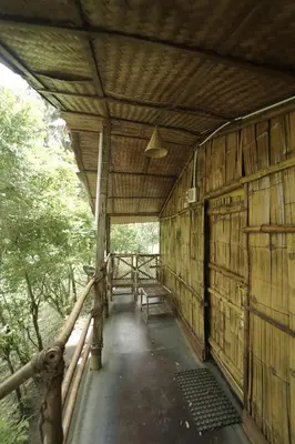 an outside of a wooden building with a bench at JUNGLE PARADISE FARM & GUEST HOUSE in Masinagudi
