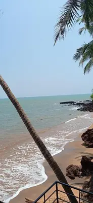 a hammock on a beach with the ocean at Perch by the sea in Kannur