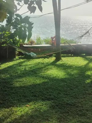 a hammock in a yard with the ocean in the background at Perch by the sea in Kannur
